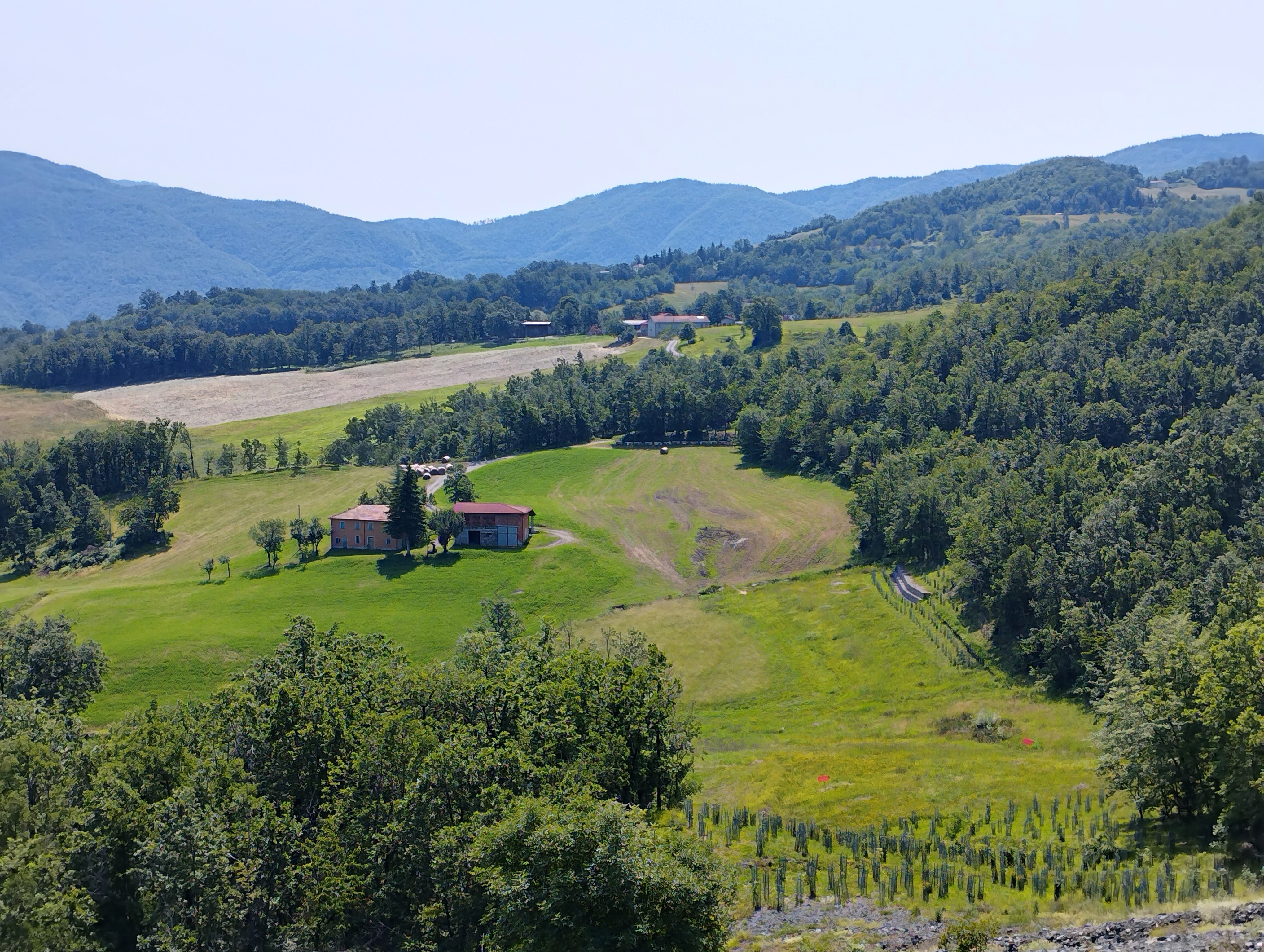 I Pomeriggi dell'Archeologico - Presentazione del volume “Il sito dell’età del Bronzo di Ca’ Nova ad Albareto (PR)”